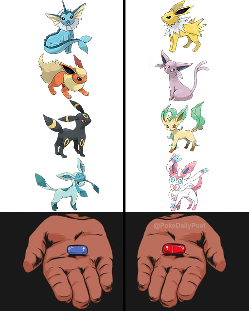 Pokémon Daily Post💫 tweet media