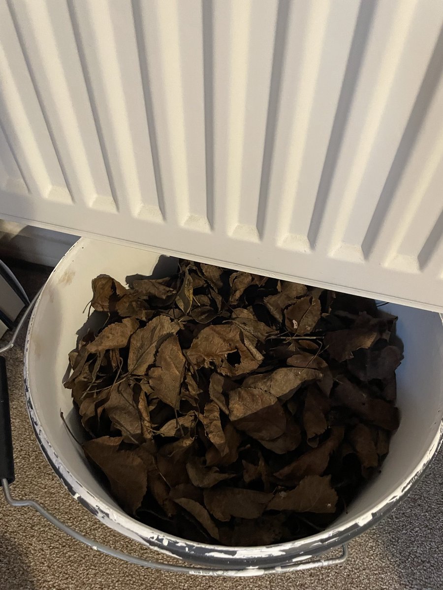 An Only Twin tweet media