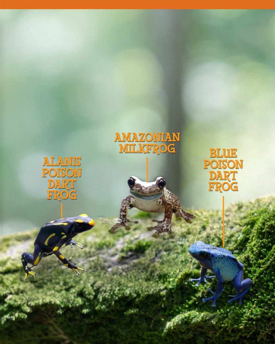 Zoo Miami tweet media