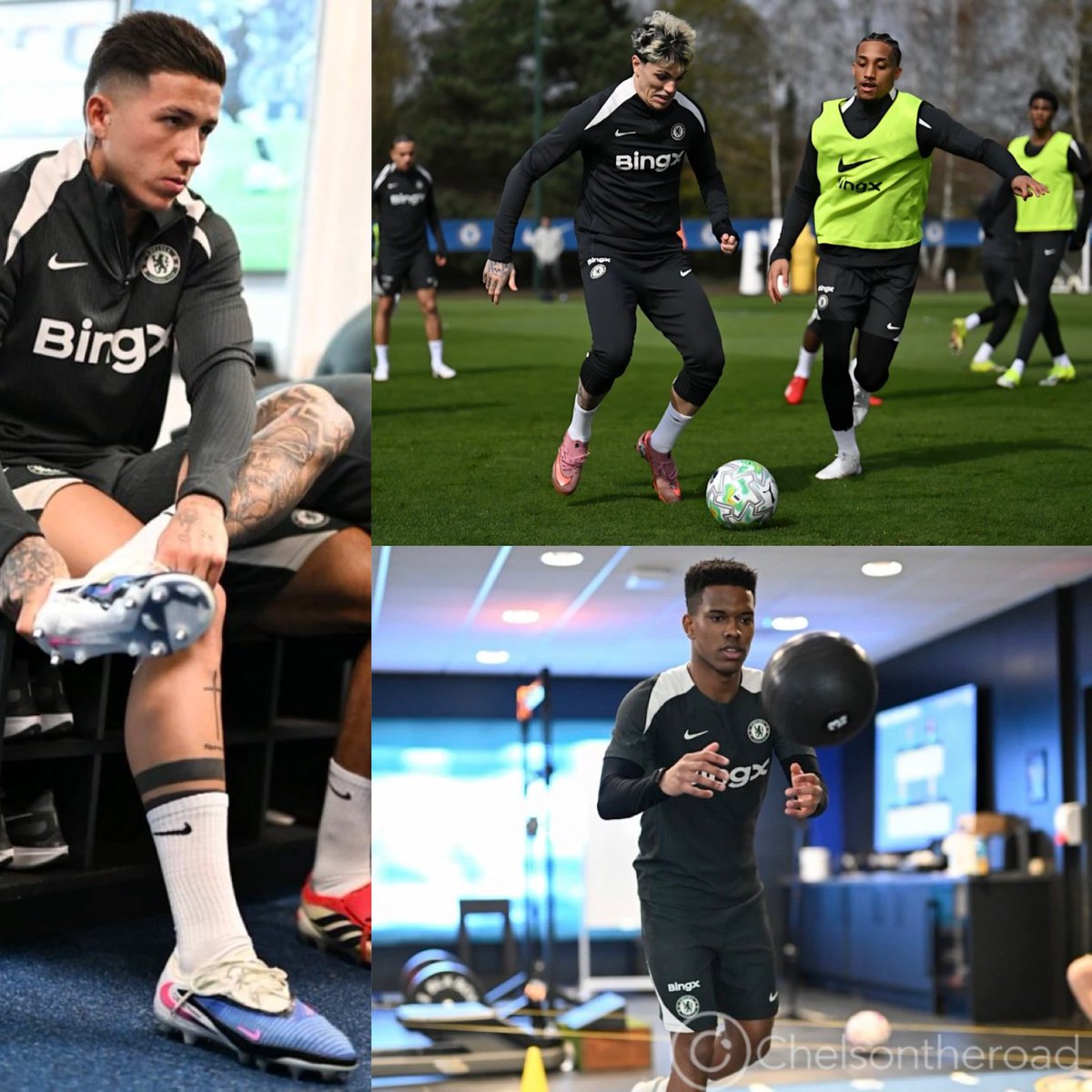 JOSHUA RHODES | CFC 🦁 tweet media