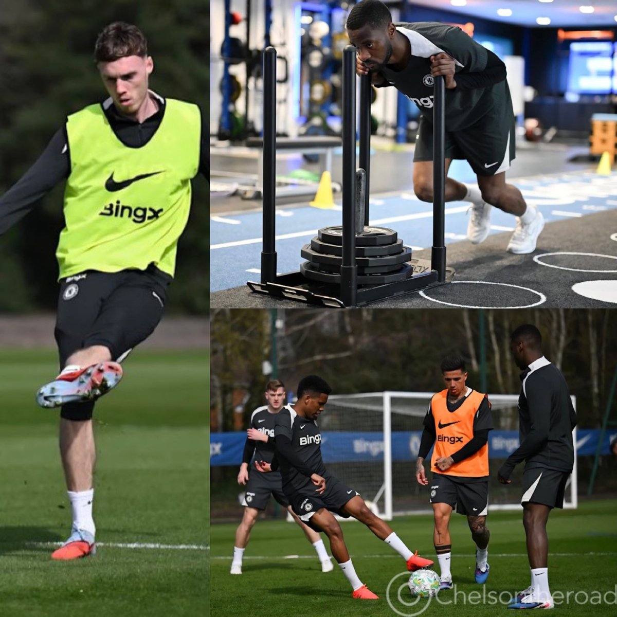 JOSHUA RHODES | CFC 🦁 tweet media