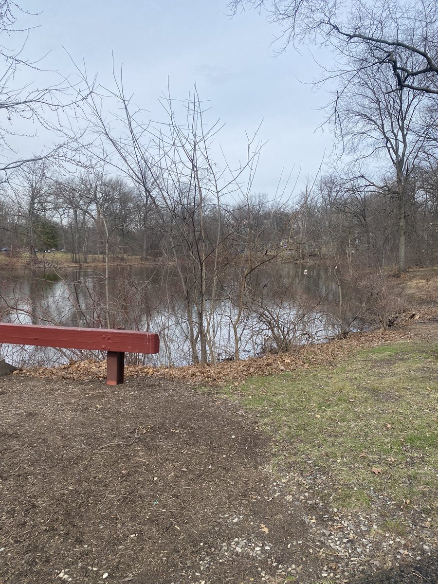 mercury, the miraculous tweet media