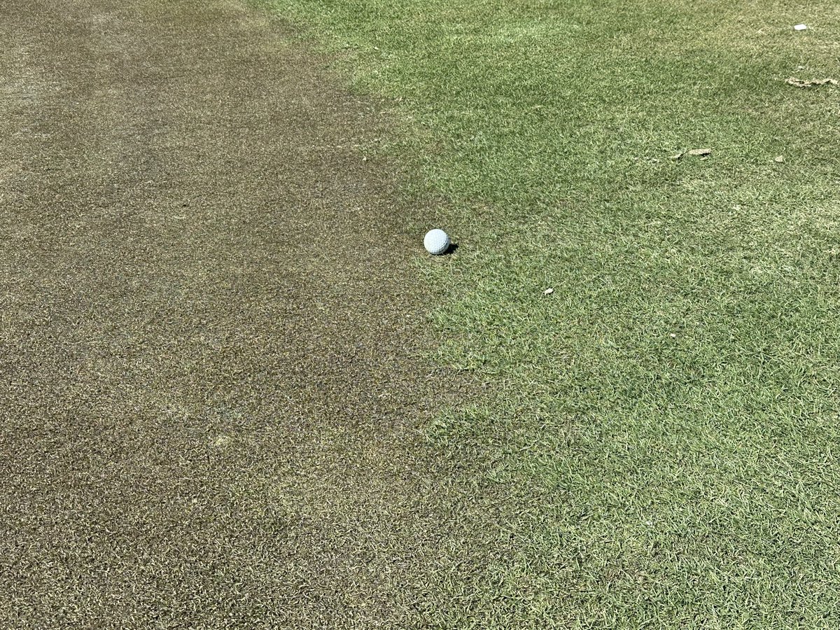 Zack White tweet media