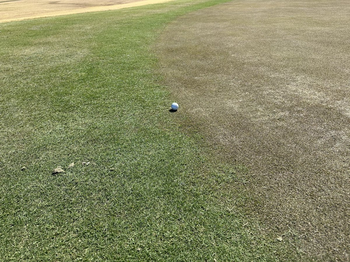 Zack White tweet media