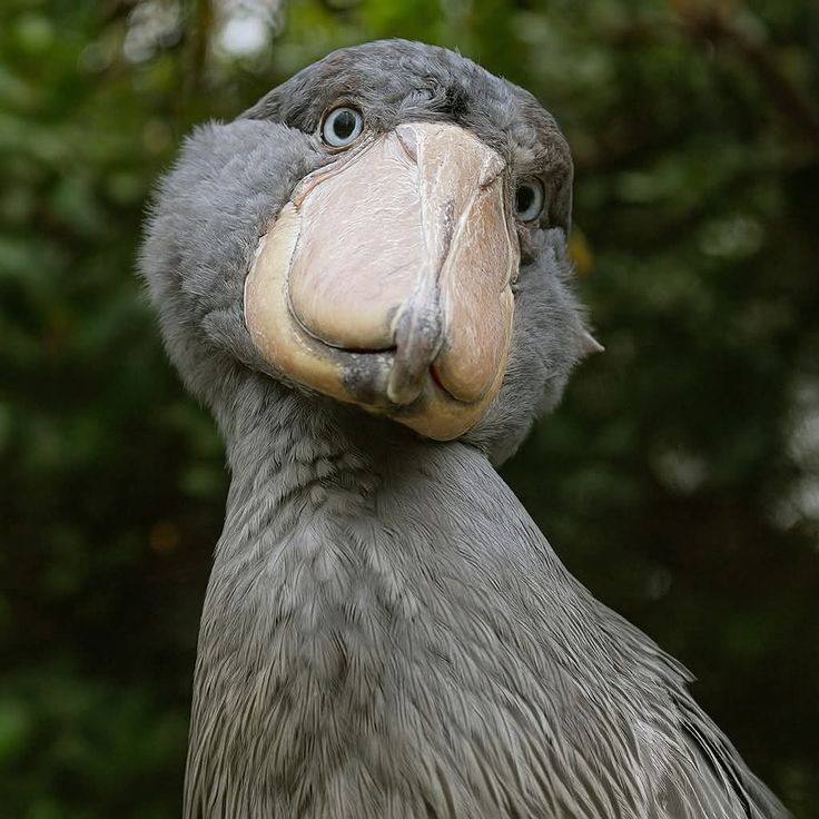 Malware 👾💽 tweet media