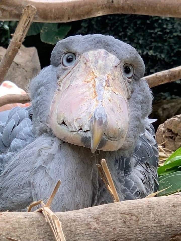 Malware 👾💽 tweet media