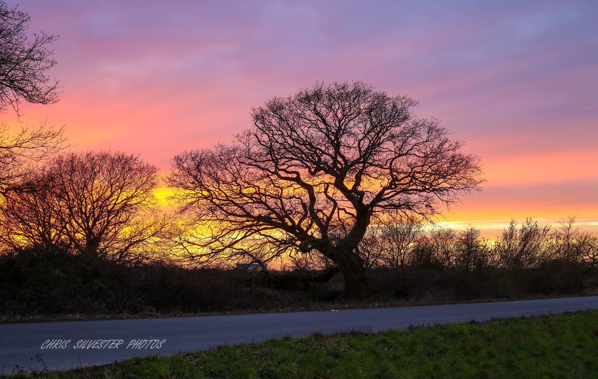 Ernest Falquero tweet media