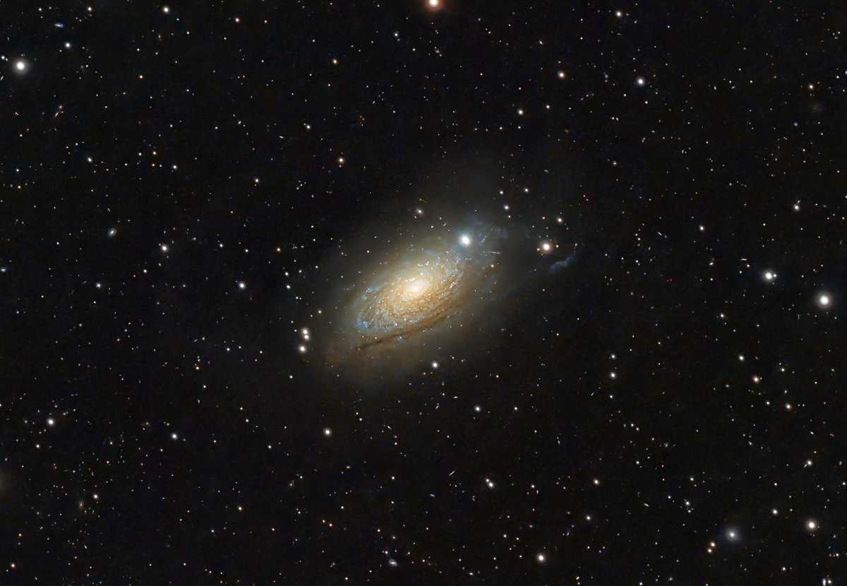 Sydenham007's tweet photo. M63 The Sunflower Galaxy imaged from my back garden

#astrophotography #astronomy https://t.co/JkQiAHFTpR