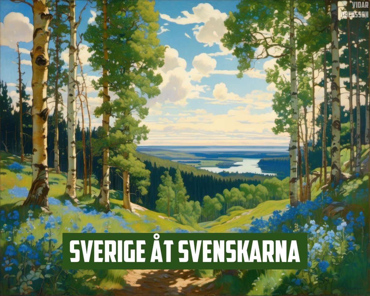 Vidar Odensson 🇸🇪 tweet media