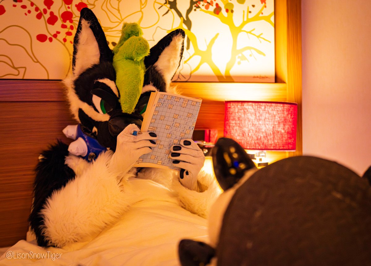 𝘽𝙍𝙀𝙆 ➡️home PCD @brek.bsky.social tweet media