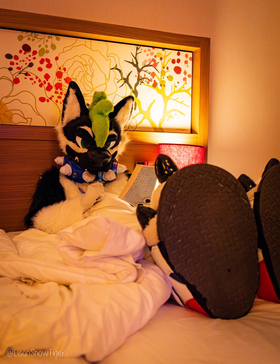 𝘽𝙍𝙀𝙆 ➡️home PCD @brek.bsky.social tweet media