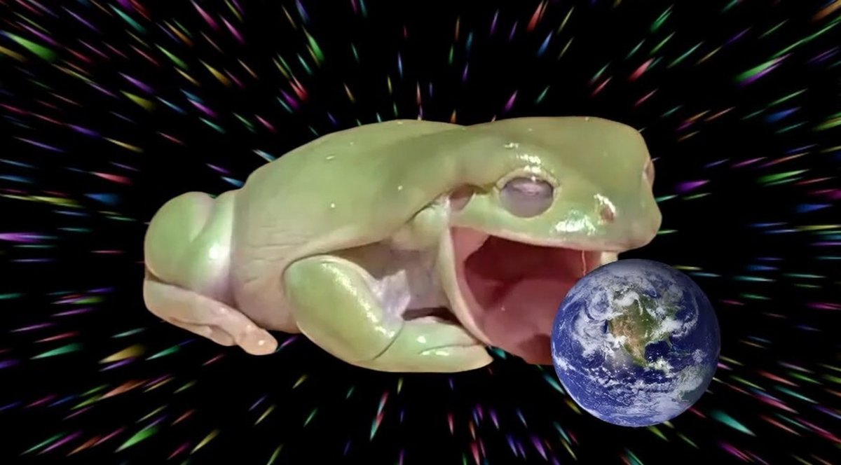 ˚⋆˙𓆏˚⋆˙ tweet media