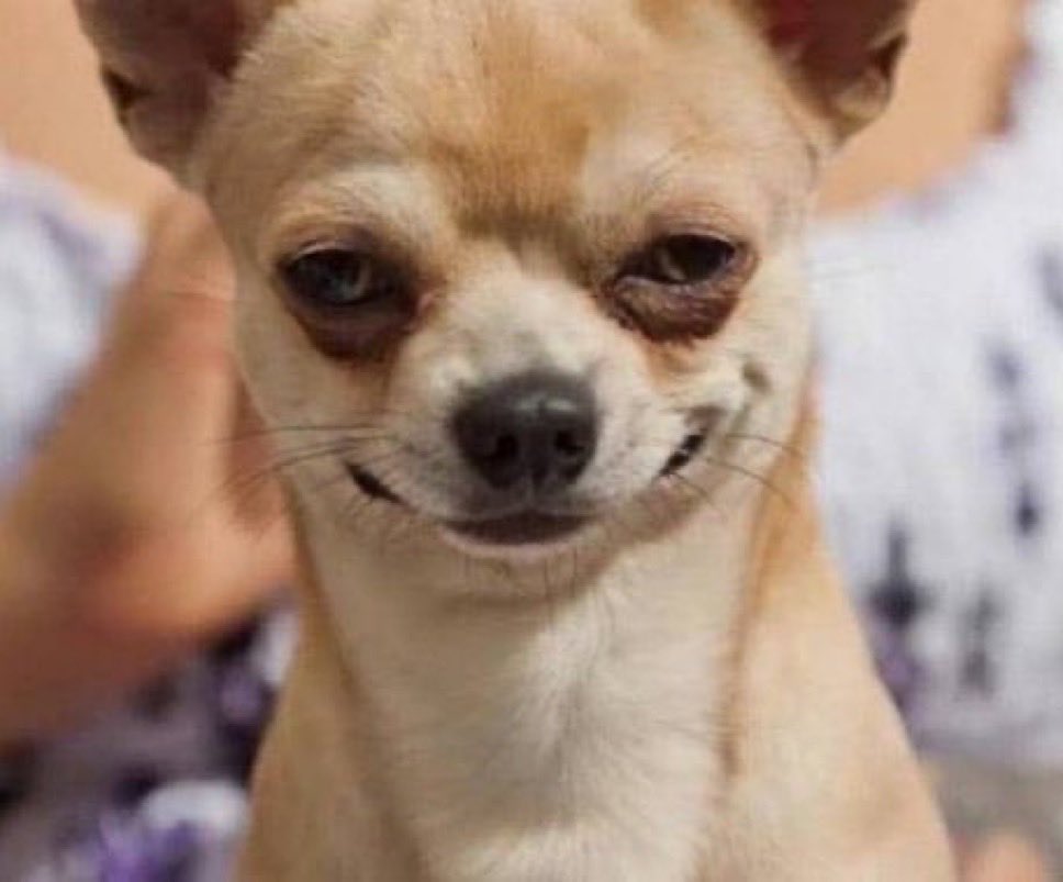 wittyduude1 🚦 tweet media