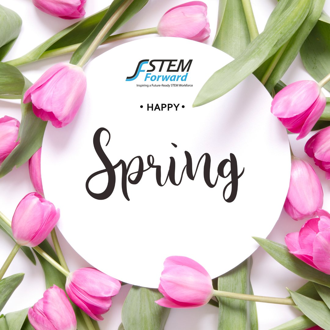 STEM Forward tweet media