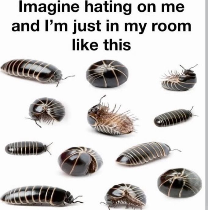 woman☦️ tweet media