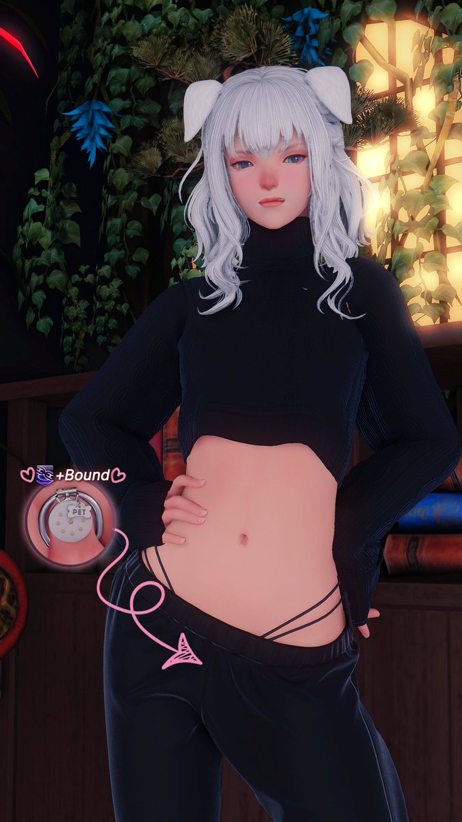 Random White Cat tweet media