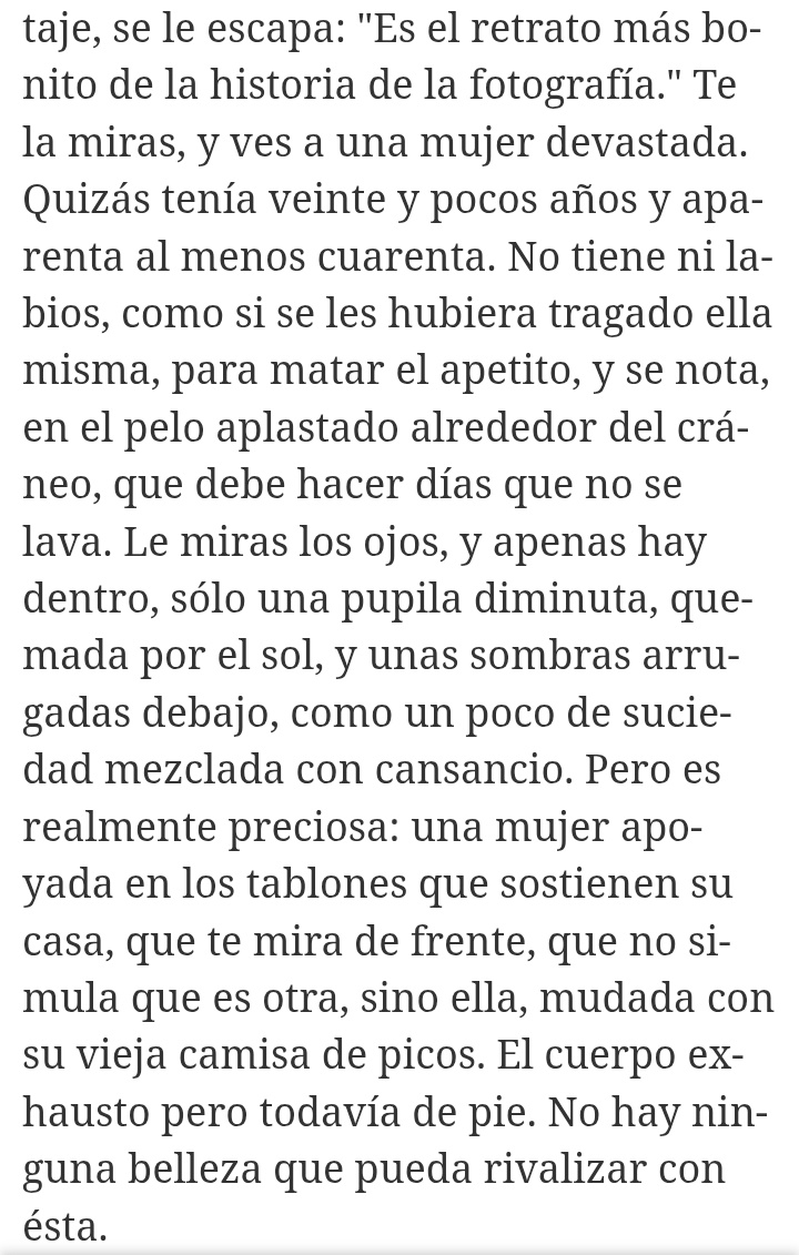 Alberto Moyano tweet media