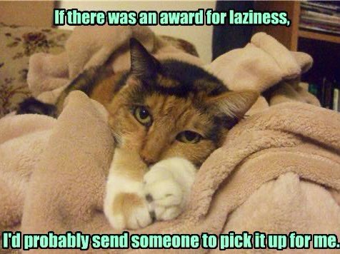 "Mad Cat" Cattis tweet media