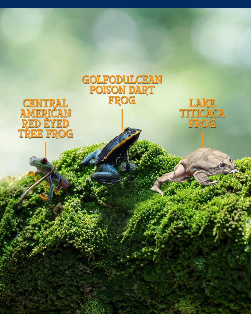 Zoo Miami tweet media