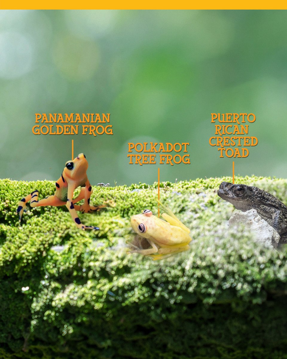 Zoo Miami tweet media