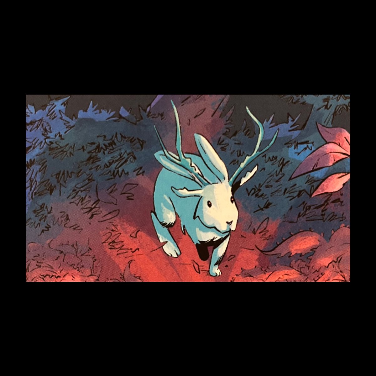 e 𖤐🪽 tweet media