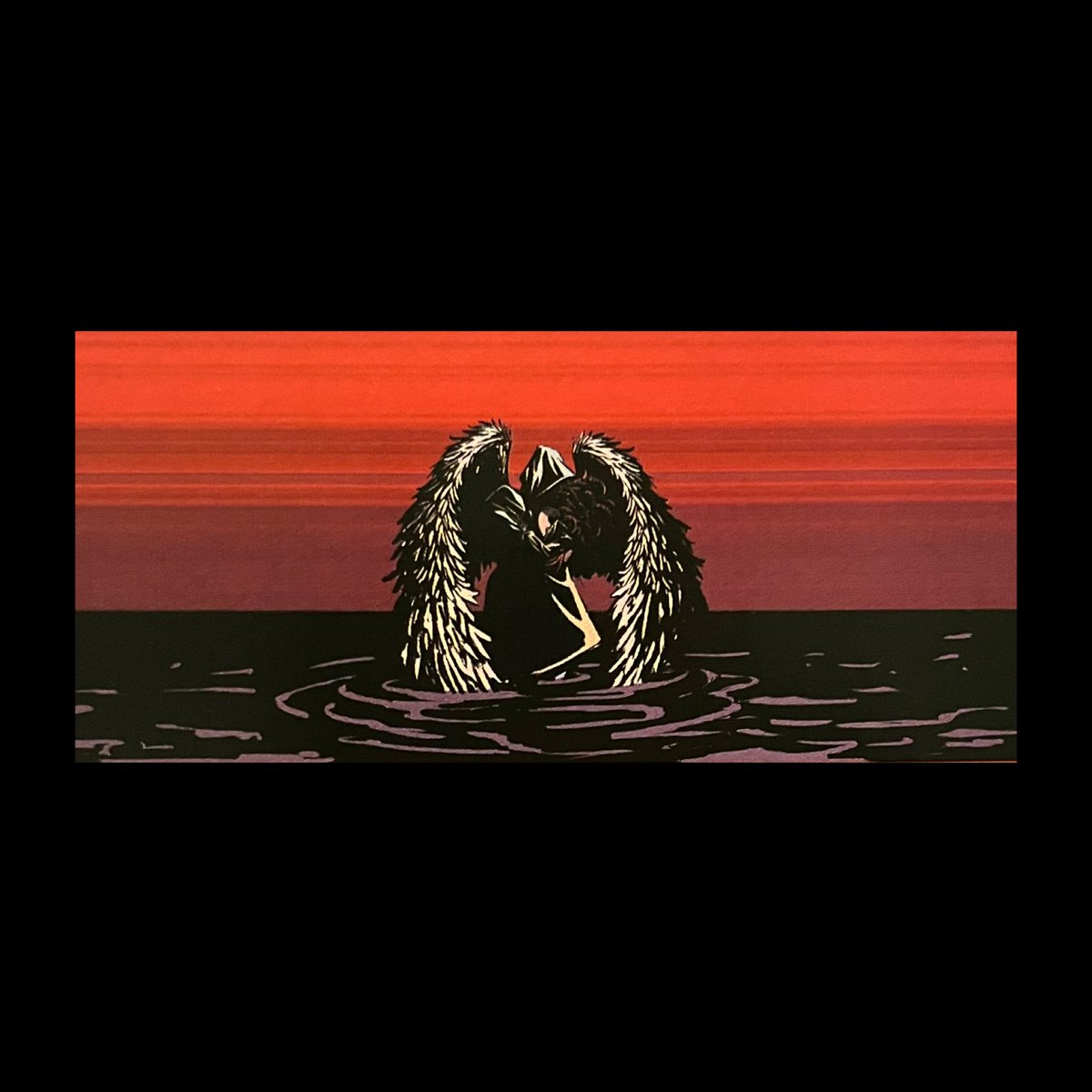 e 𖤐🪽 tweet media