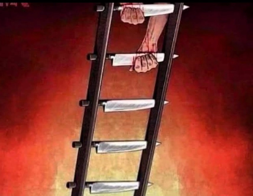 Emiola 🤝❤️💸⚓️📜 tweet media