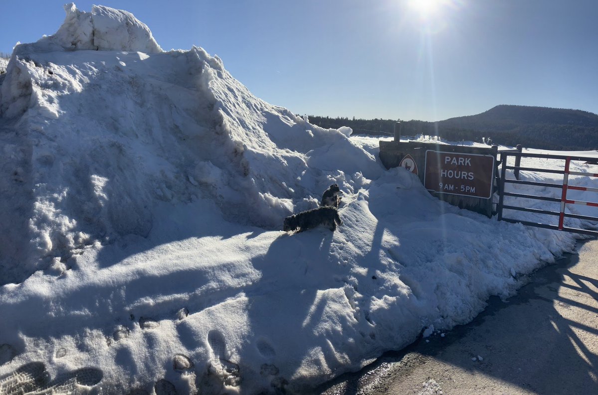 Tony Heller 🇺🇸 🇯🇵 tweet media