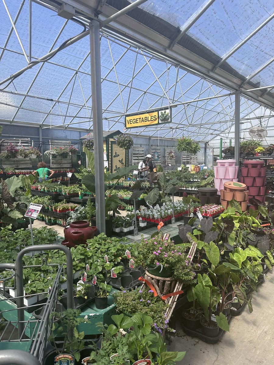 Kat Grace tweet media