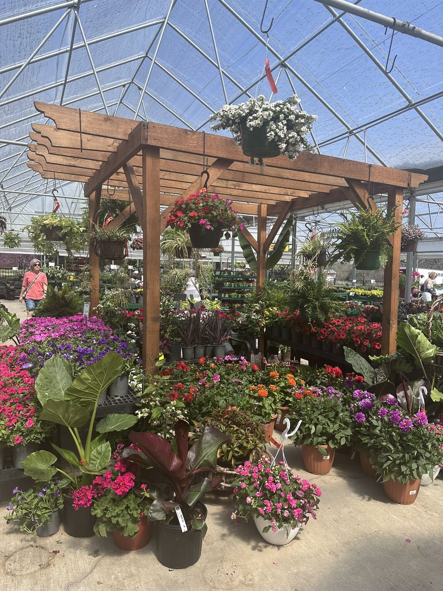 Kat Grace tweet media