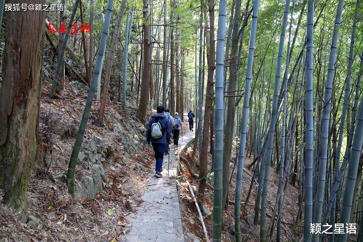 Sundance McGregor tweet media