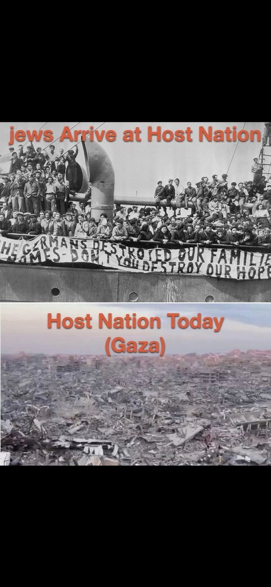 Geri Doc tweet media