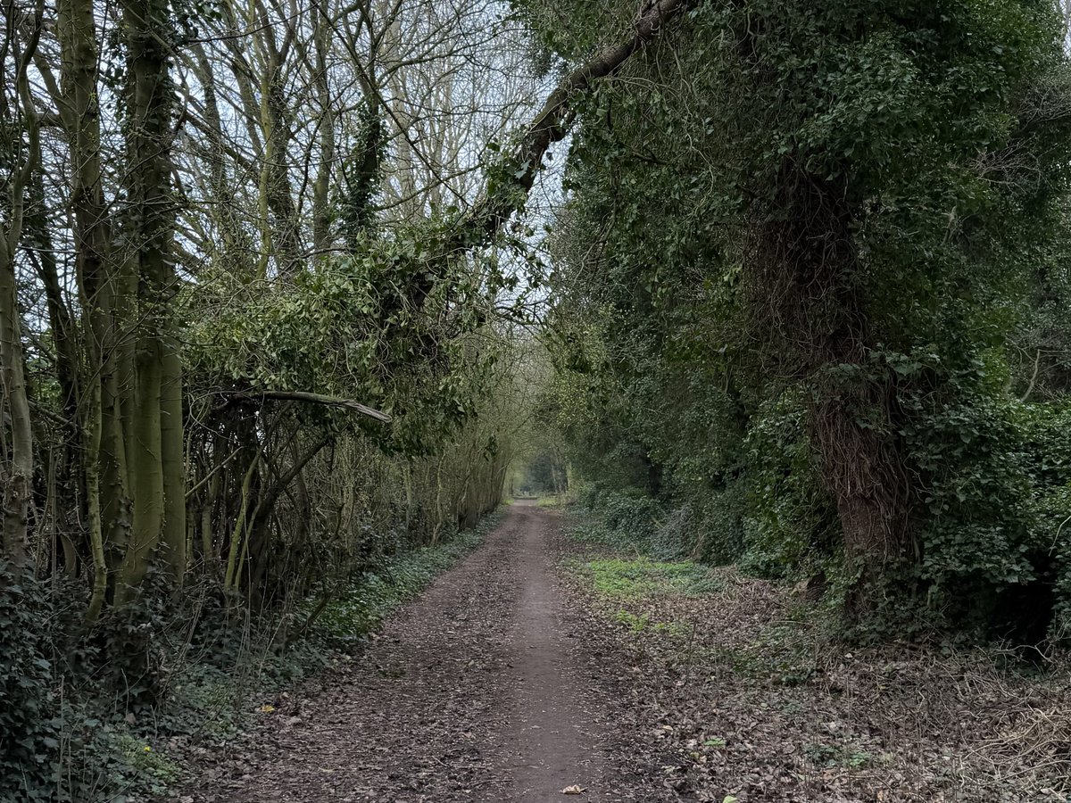 rly cool girl tweet media