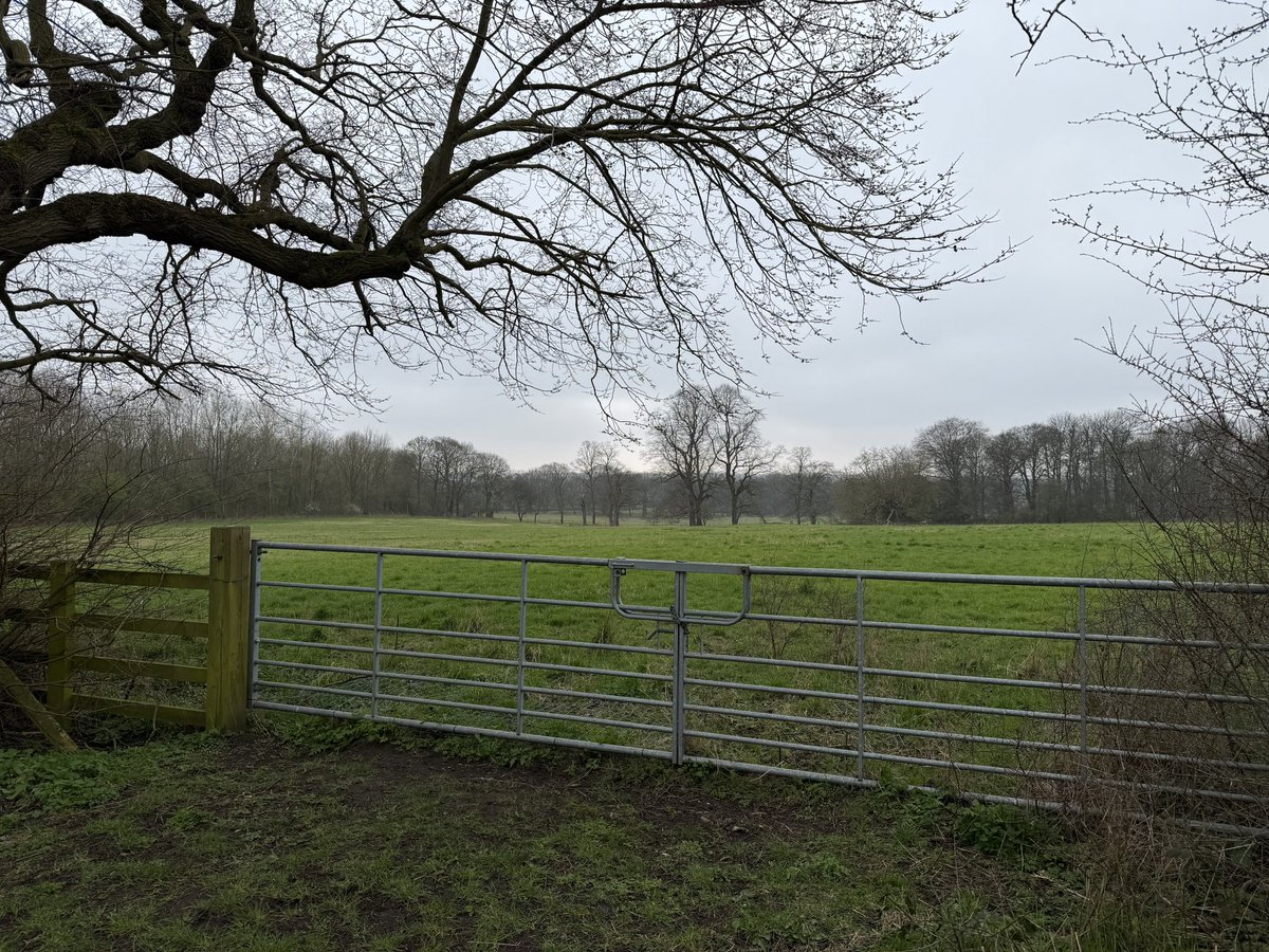 rly cool girl tweet media