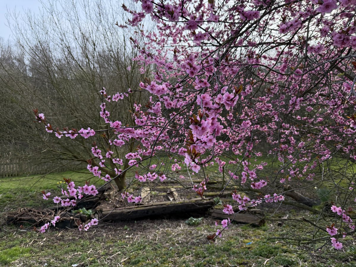 rly cool girl tweet media