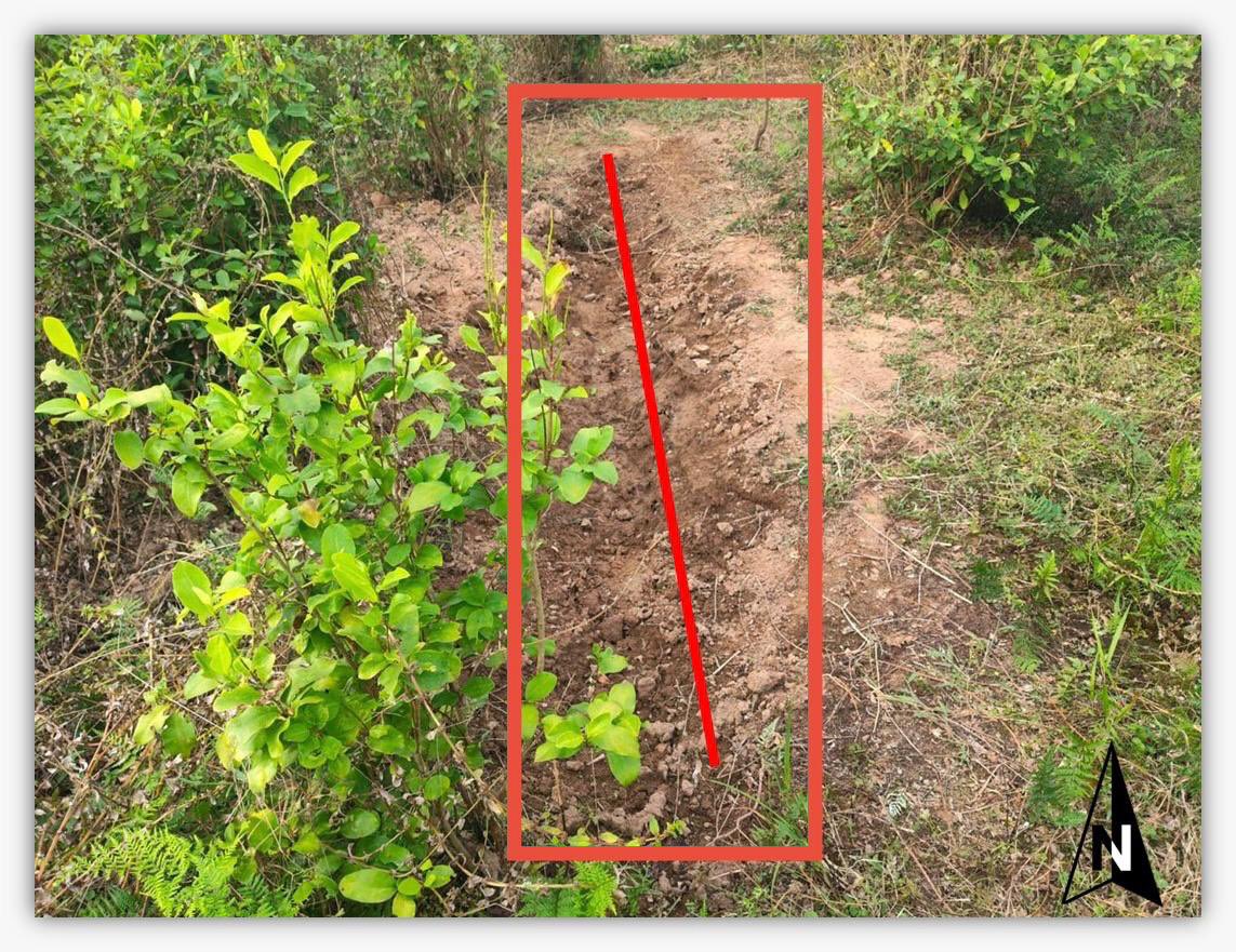 Gustavo Petro tweet media