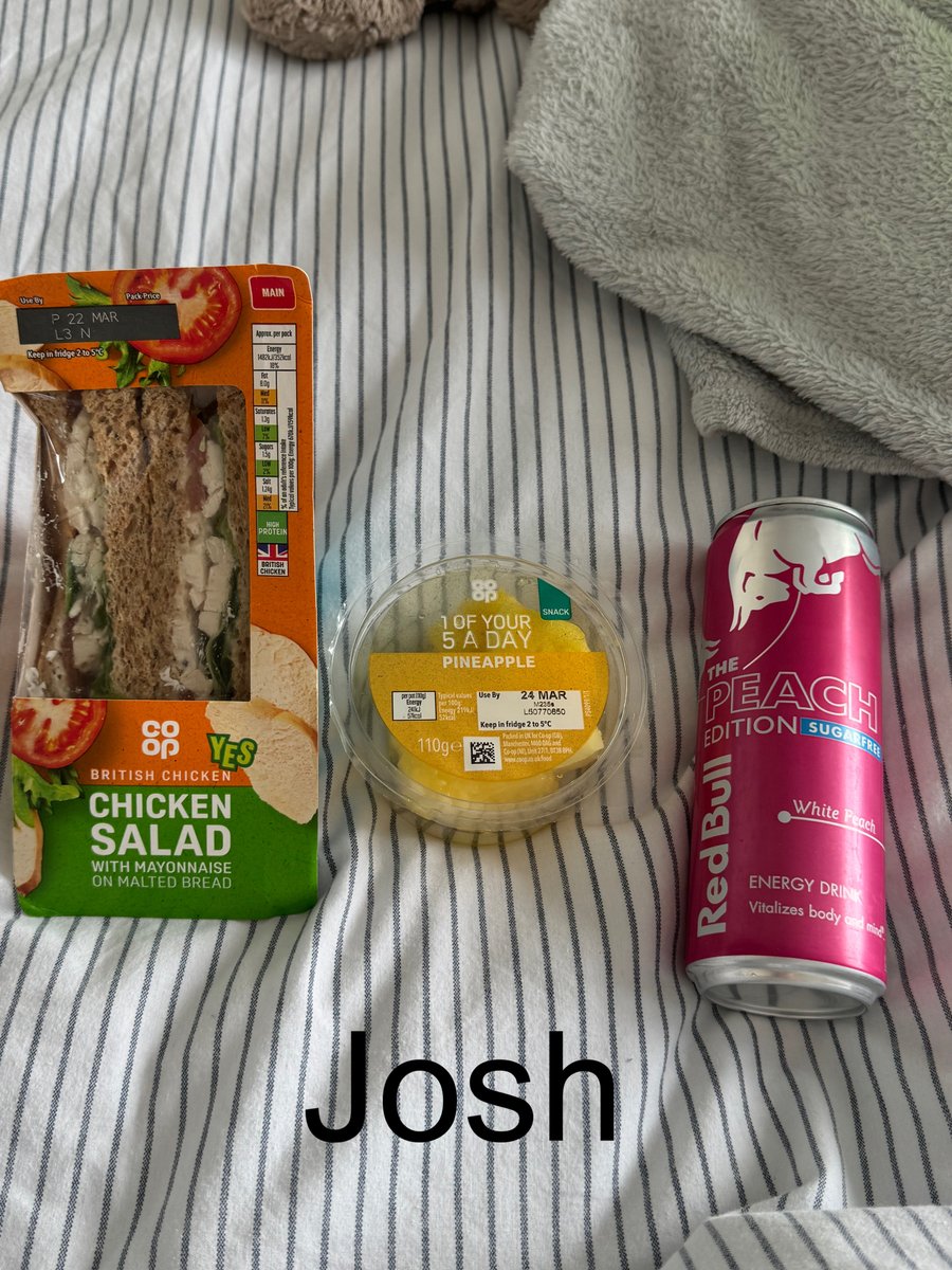 josh ♡🇵🇸 tweet media