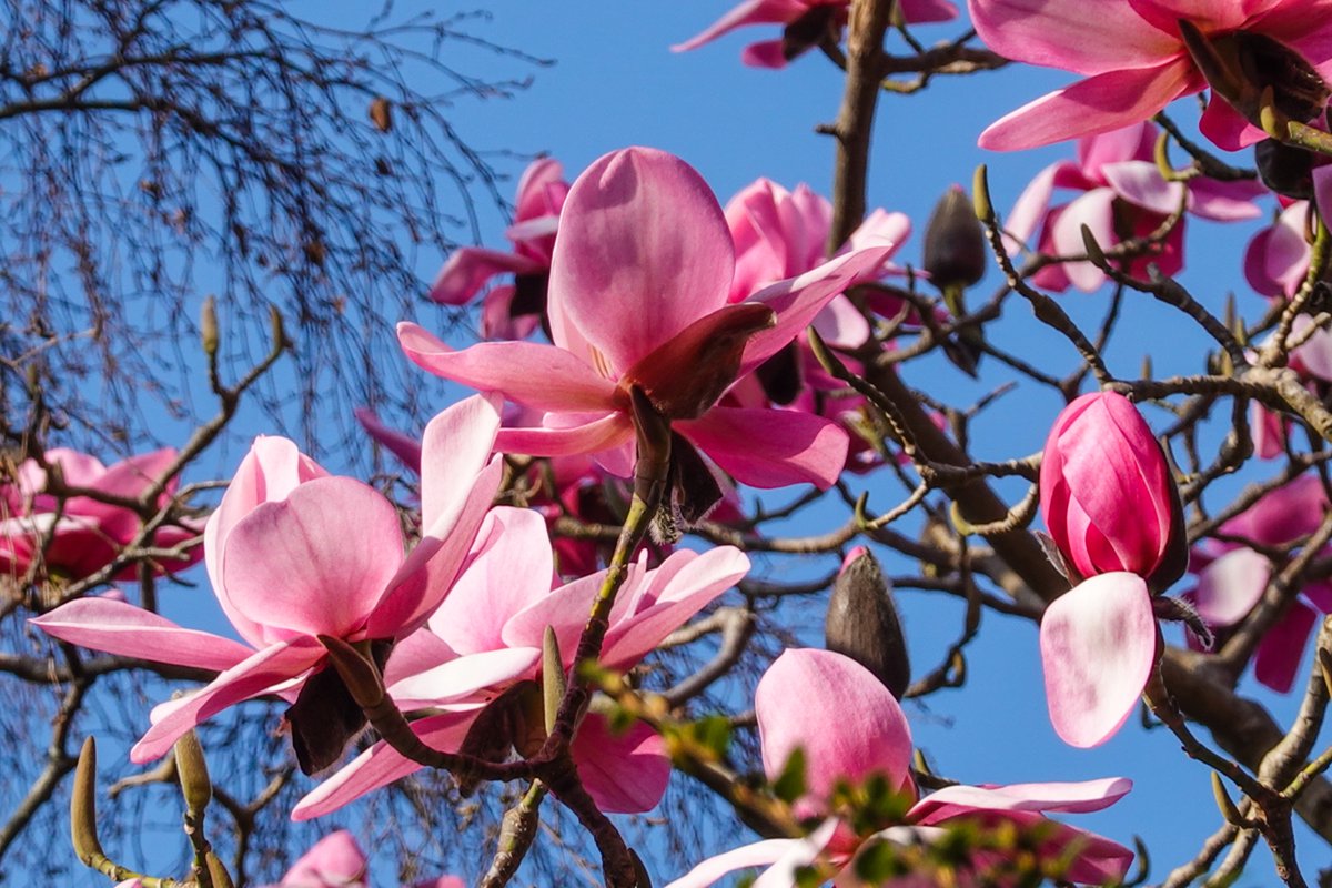 Martin Paterson 🏴󠁧󠁢󠁳󠁣󠁴󠁿 tweet media