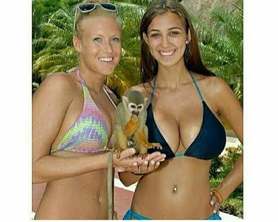 NO CONTEXT POSTS tweet media