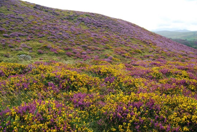 ABCtales tweet media