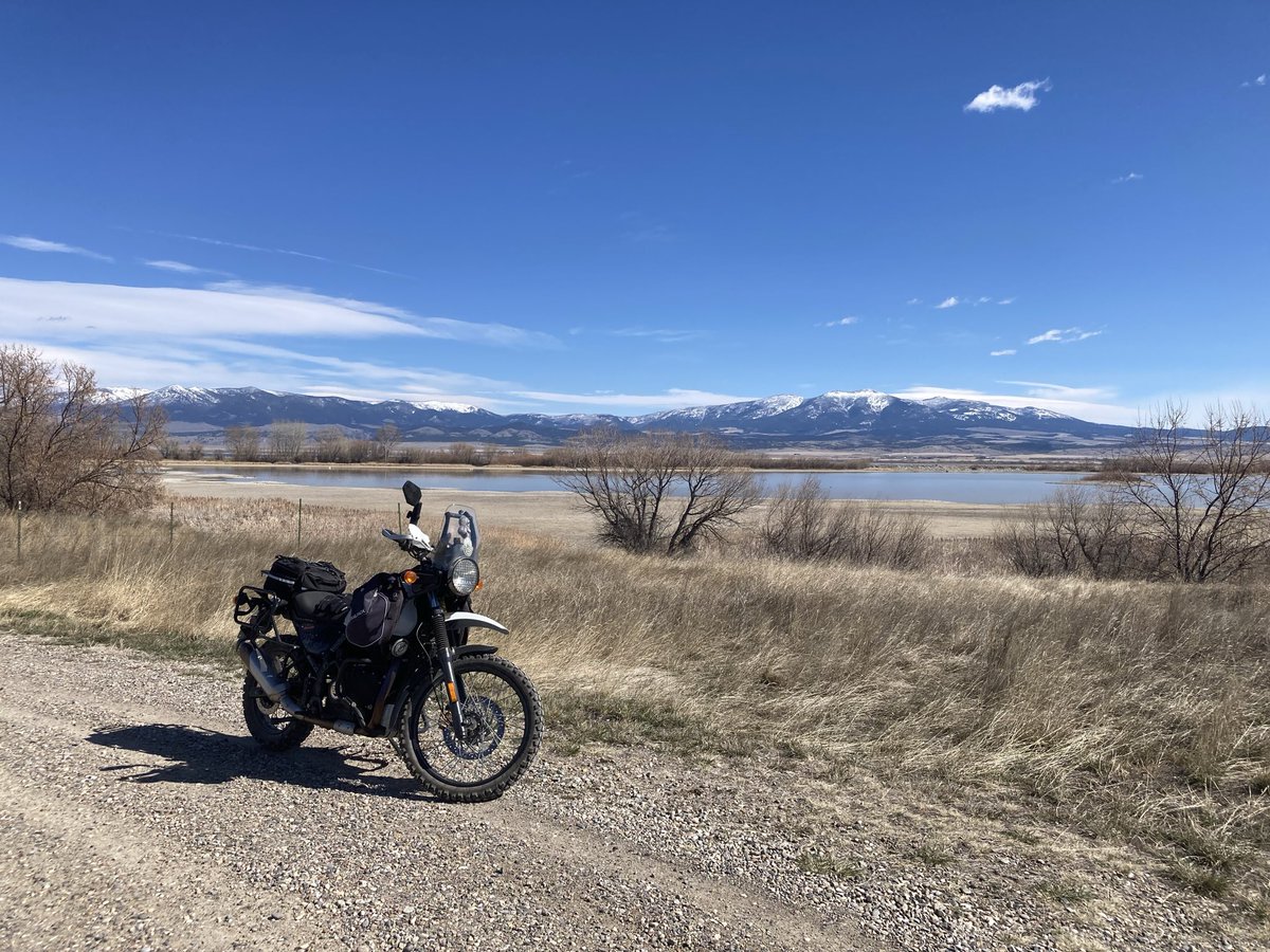 Out on a Bimble tweet media