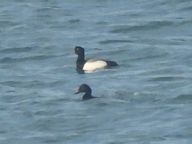 Steve Jones tweet media