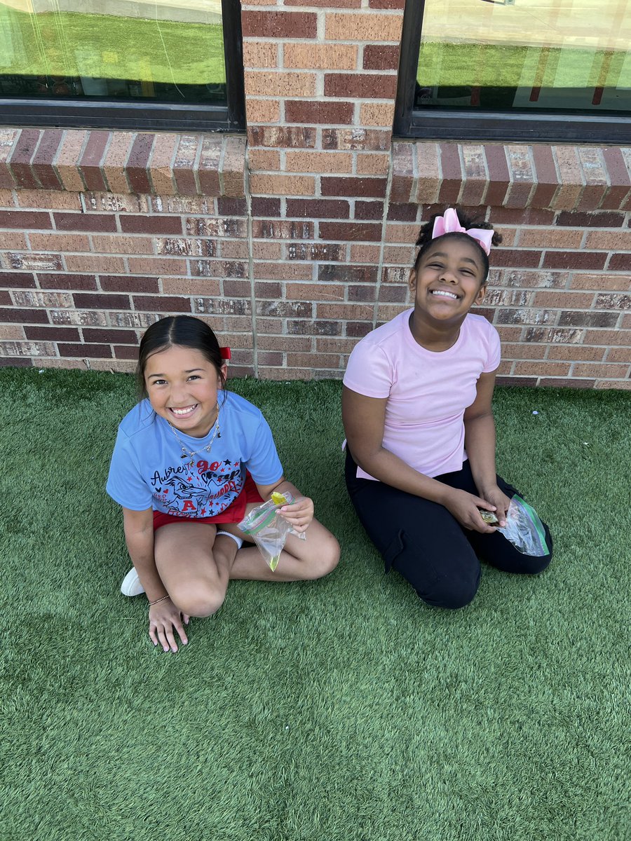 Anverly Laster, M.Ed. tweet media