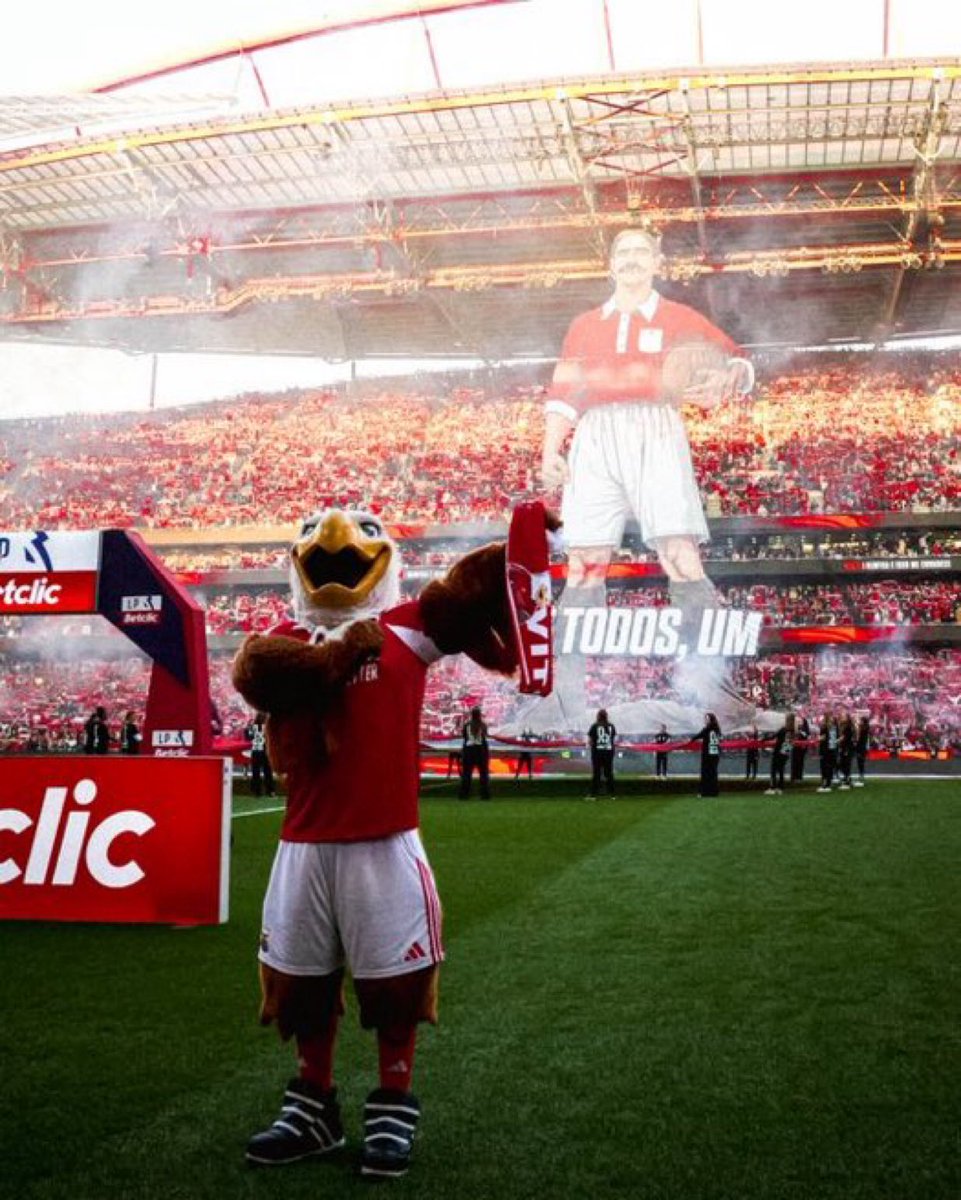 Diogo Oliveira tweet media