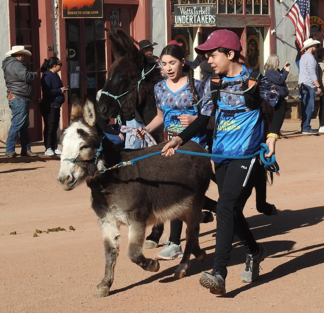 St. Baldrick's Foundation tweet media