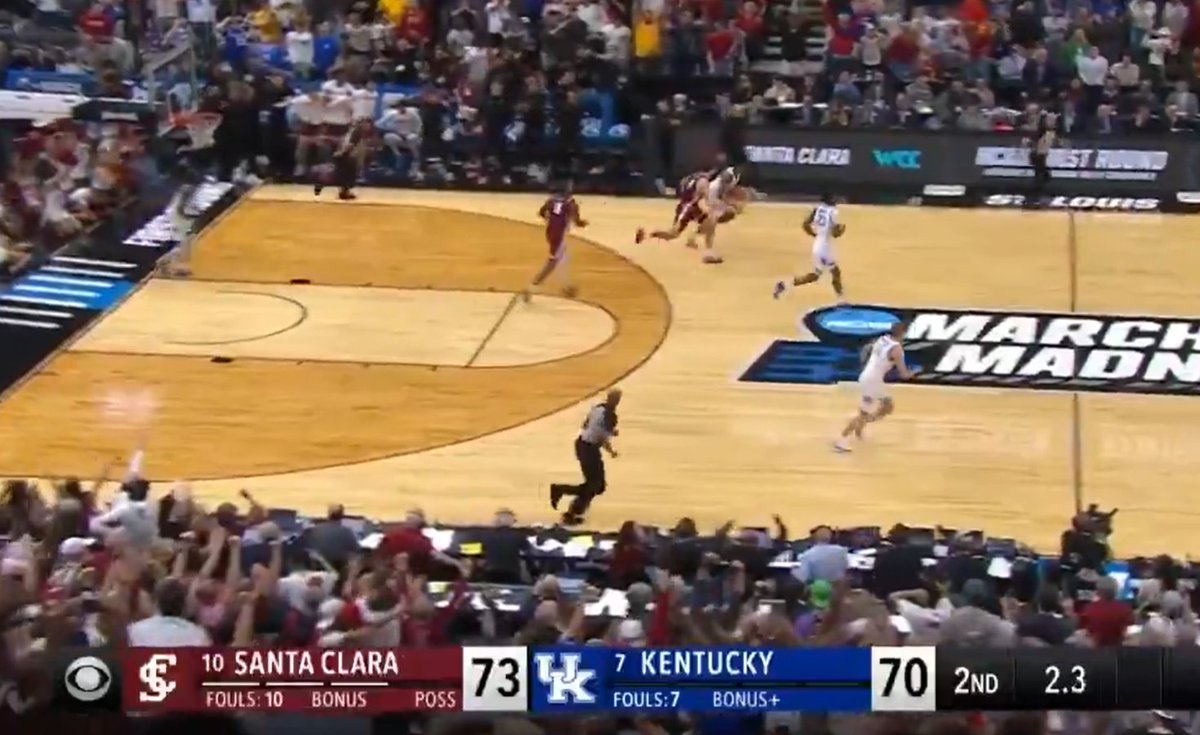 dogsoftheshire tweet media