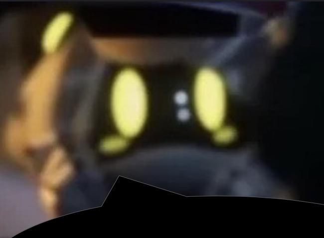 4th Pack Commander of ENVUZI💛💜💛 tweet media