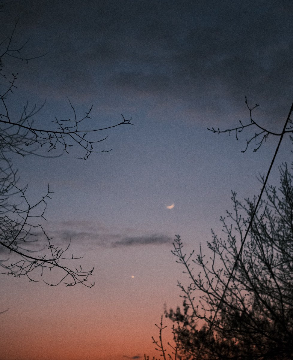 Stas Shostak 🇺🇦 tweet media