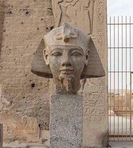 Patryk/Ramesses II tweet media