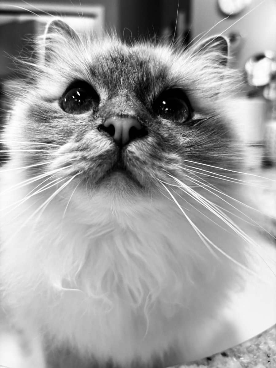 Elizabeth Griffith tweet media